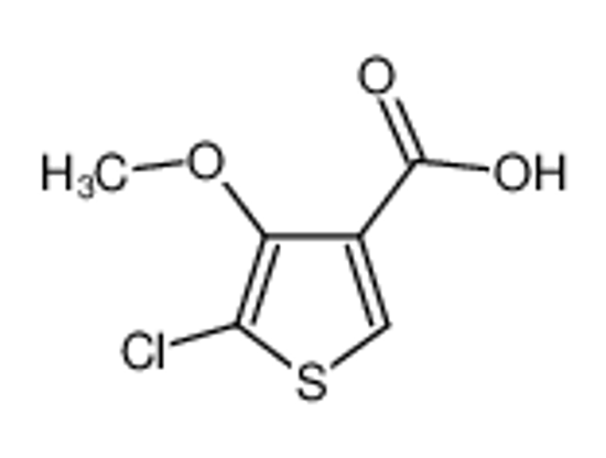 Picture of 5-Chloro-4-methoxythiophene-3-carboxylic acid