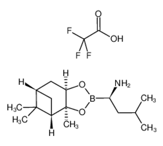 Picture of (αR)-(1S,2S,3R,5S)-Pinanediol-1-amino-3-methylbutane-1-boronate Trifluoroacetate