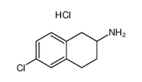 Picture of 6-chloro-1,2,3,4-tetrahydronaphthalen-2-amine,hydrochloride