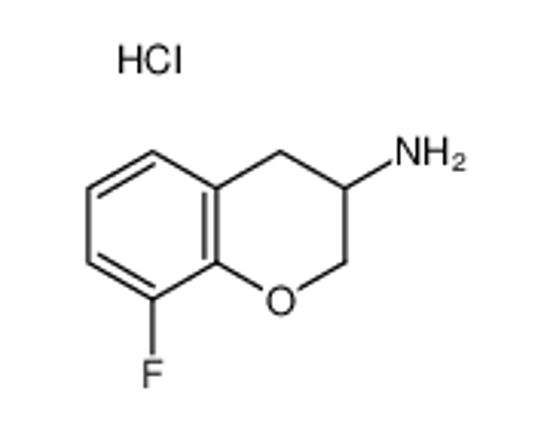 Picture of 8-FLUORO-CHROMAN-3-YLAMINE HYDROCHLORIDE