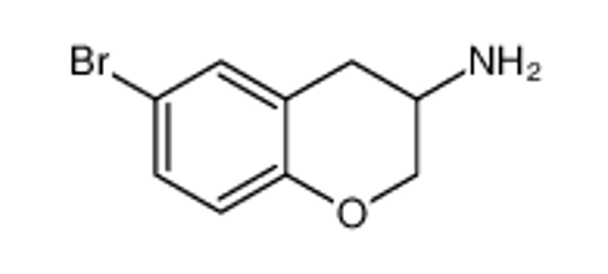 Picture of 6-BROMO-CHROMAN-3-YLAMINE HYDROCHLORIDE