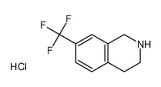 Picture of 7-(trifluoromethyl)-1,2,3,4-tetrahydroisoquinoline,hydrochloride