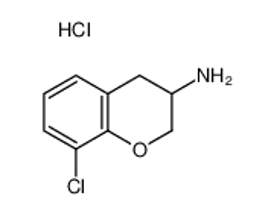 Picture of 8-CHLORO-CHROMAN-3-YLAMINE HYDROCHLORIDE