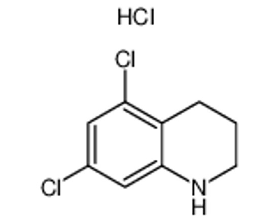Picture of 5,7-dichloro-1,2,3,4-tetrahydroquinoline,hydrochloride