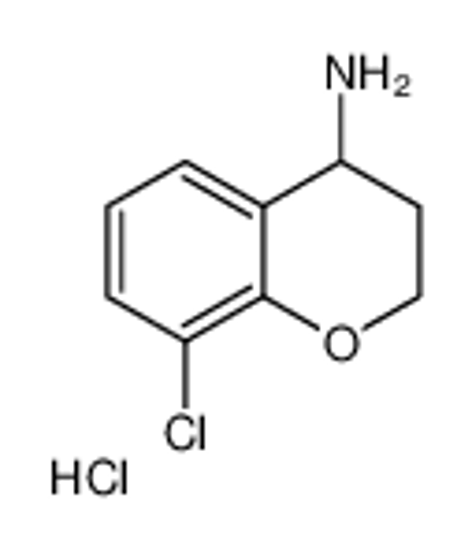 Picture of 8-CHLORO-CHROMAN-4-YLAMINE HYDROCHLORIDE