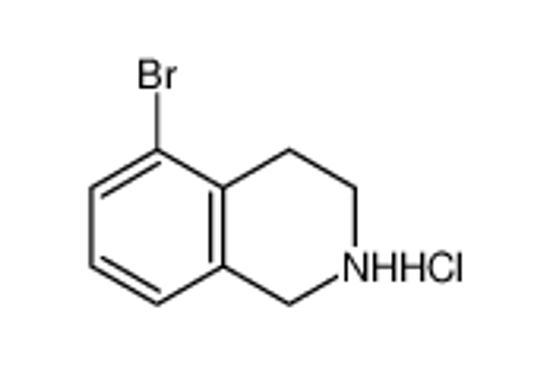 Picture of 5-Bromo-1,2,3,4-tetrahydroisoquinoline