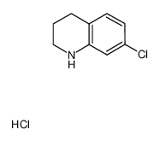 Picture of 7-chloro-1,2,3,4-tetrahydroquinoline,hydrochloride