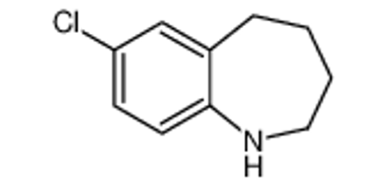 Picture of 7-chloro-2,3,4,5-tetrahydro-1H-1-benzazepine