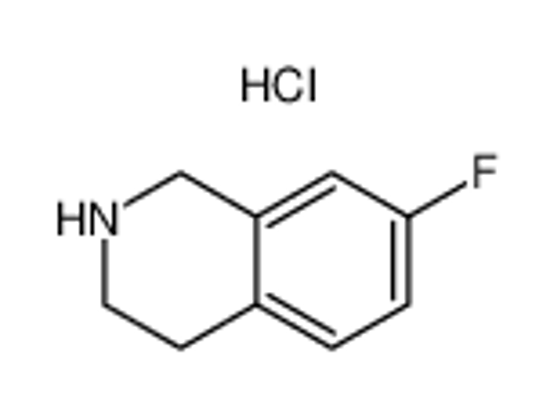 Picture of 7-Fluoro-1,2,3,4-tetrahydroisoquinoline hydrochloride