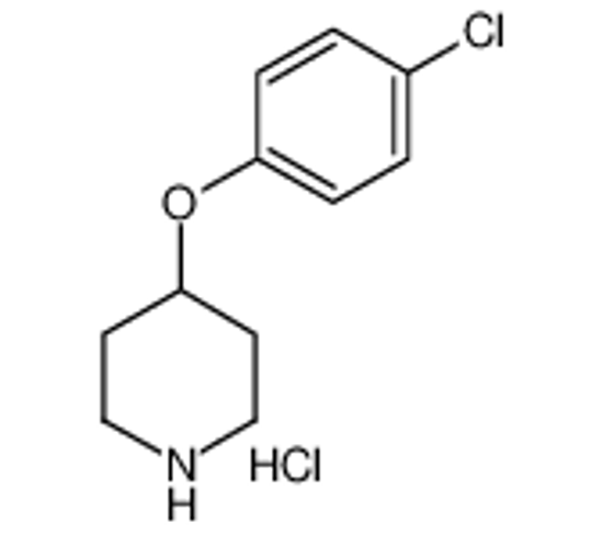 Picture of 4-(4-Chloro-phenoxy)-piperidine hydrochloride