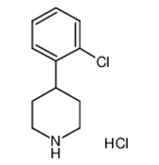 Picture of 4-(2-chlorophenyl)piperidine,hydrochloride