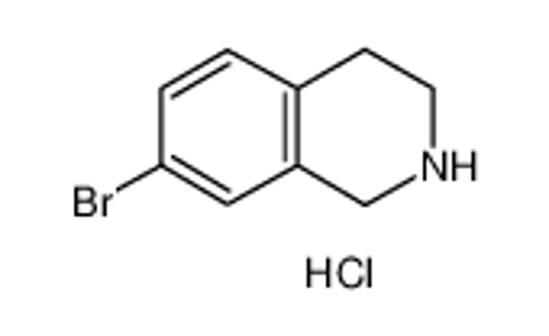 Picture of 7-Bromo-1,2,3,4-tetrahydroisoquinoline hydrochloride