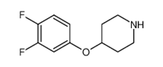 Picture of 4-(3,4-DIFLUORO-PHENOXY)-PIPERIDINE HYDROCHLORIDE