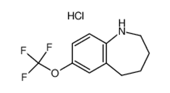 Picture of 7-TRIFLUOROMETHOXY-2,3,4,5-TETRAHYDRO-1H-BENZO[B]AZEPINE HYDROCHLORIDE