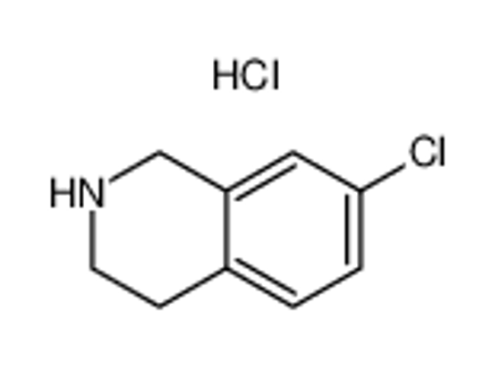 Picture of 7-Chloro-1,2,3,4-tetrahydroisoquinoline hydrochloride