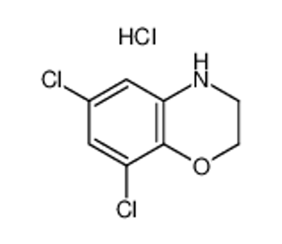 Picture of 6,8-dichloro-3,4-dihydro-2H-1,4-benzoxazine,hydrochloride