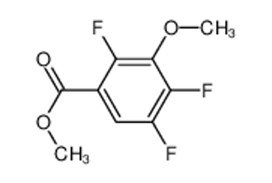Picture of Methyl 2,4,5-trifluoro-3-methoxybenzoate