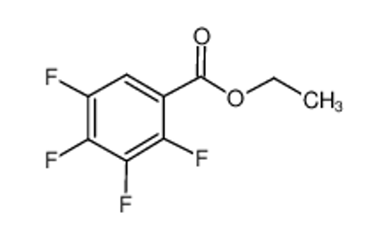 Picture of Ethyl 2,3,4,5-Tetrafluorobenzoate