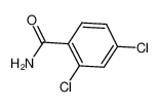Picture of 2,4-DICHLOROBENZAMIDE