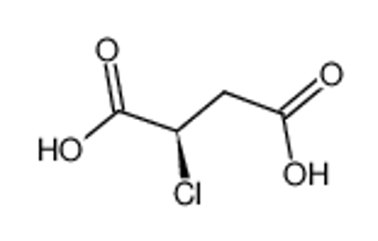 Picture of (S)-2-CHLOROSUCCINIC ACID