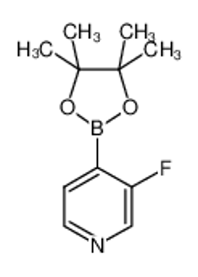 Picture of 3-Fluoropyridine-4-boronic acid pinacol ester