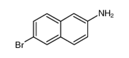Picture of (C10-16)alkyldimethylamine oxide