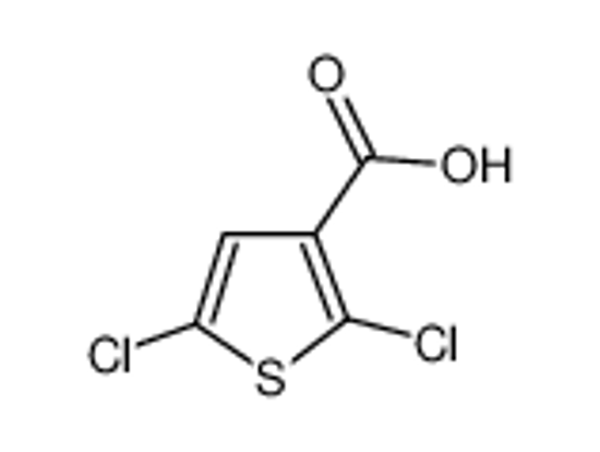 Изображение 2,5-Dichlorothiophene-3-Carboxylic Acid
