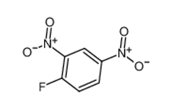 Picture of 1-fluoro-2,4-dinitrobenzene