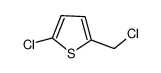 Picture of 2-chloro-5-(chloromethyl)thiophene