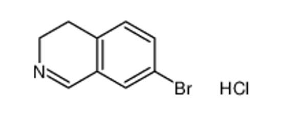 Picture of 7-bromo-3,4-dihydroisoquinoline,hydrochloride