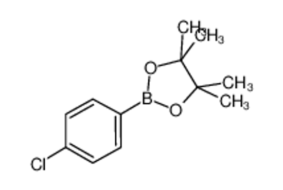 Picture of 2-(4-chlorophenyl)-4,4,5,5-tetramethyl-1,3,2-dioxaborolane