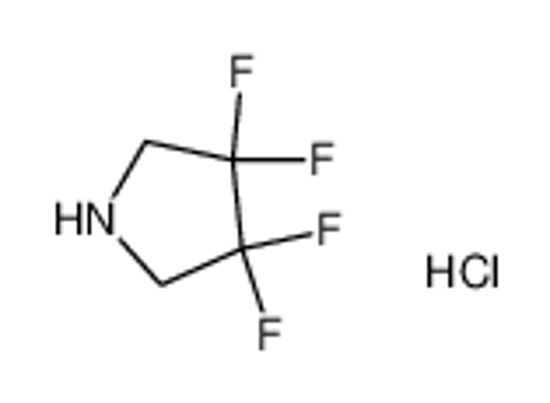 Picture of 3,3,4,4-TETRAFLUOROPYRROLIDINE HYDROCHLORIDE