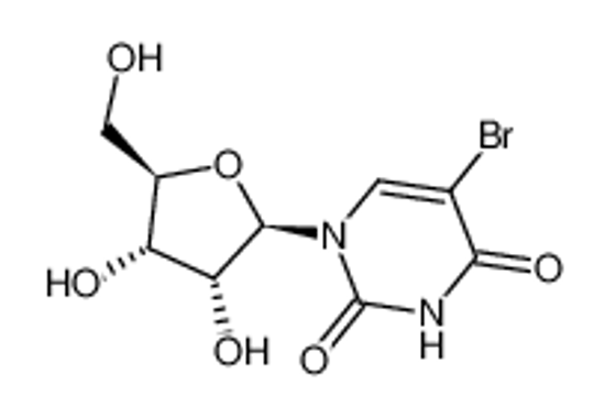 Picture of 5-bromouridine