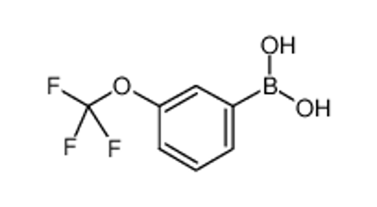 Picture of [3-(trifluoromethoxy)phenyl]boronic acid