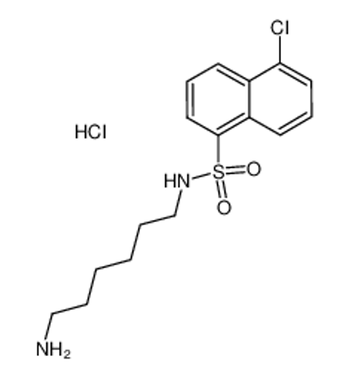 Picture of N-(6-aminohexyl)-5-chloronaphthalene-1-sulfonamide,hydrochloride