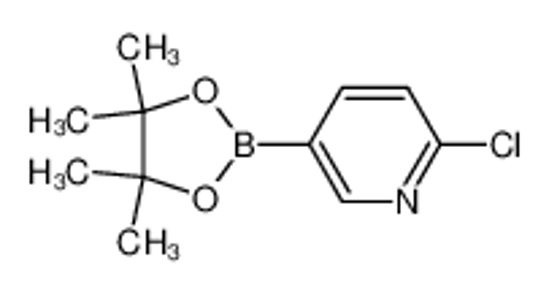 Picture of 2-Chloropyridine-5-boronic acid pinacol ester
