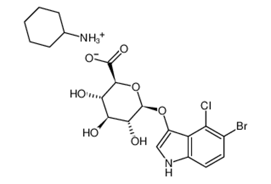 Picture of 5-Bromo-4-chloro-3-indolyl-β-D-glucuronide cyclohexylammonium salt