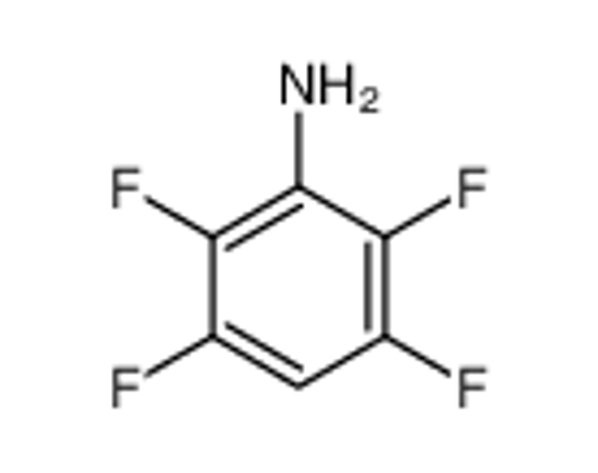 Picture of 2,3,5,6-Tetrafluoroaniline
