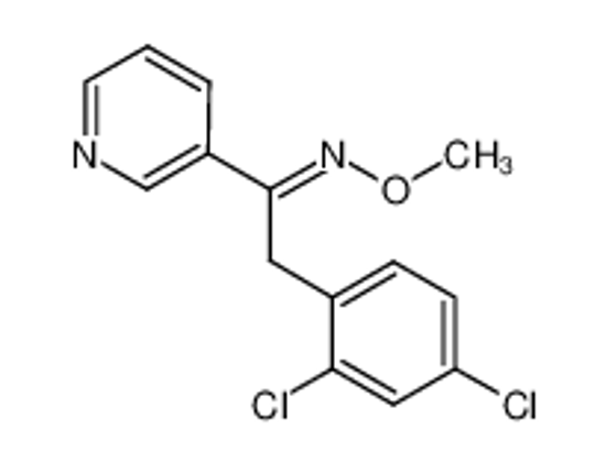 Picture of (E)-1-(2,4-dichlorophenyl)-N-methoxy-2-pyridin-3-ylethanimine