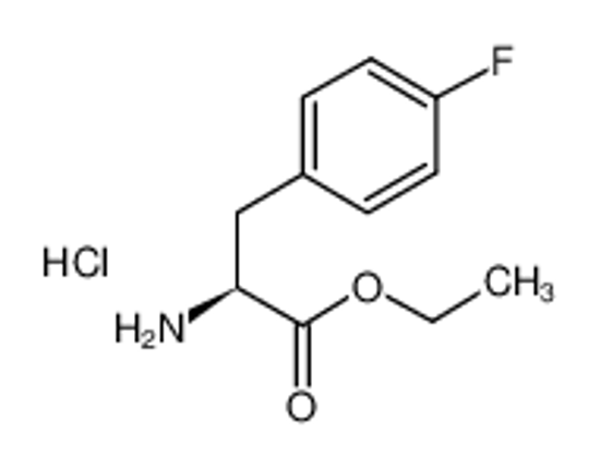 Picture of H-P-FLUORO-PHE-OET HCL