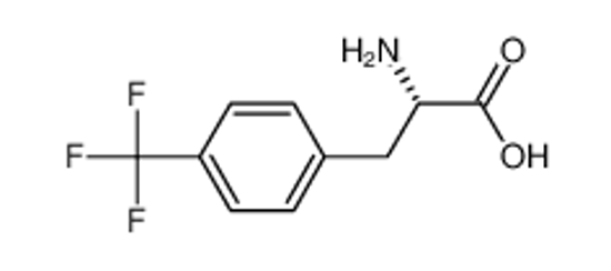 Picture of 4-(Trifluoromethyl)-L-phenylalanine