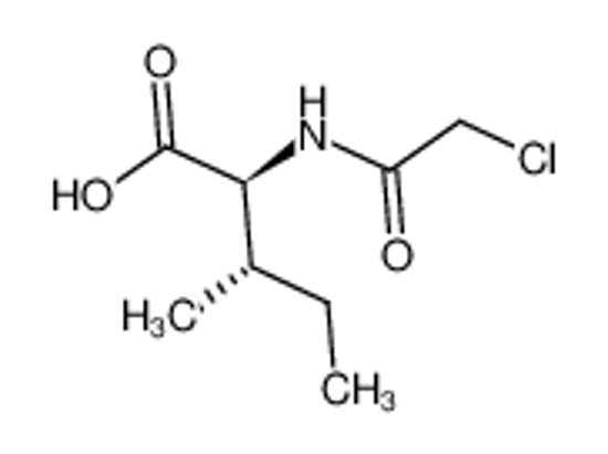 Picture of (2S,3S)-2-[(2-chloroacetyl)amino]-3-methylpentanoic acid