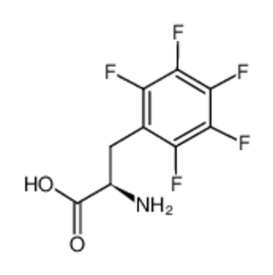 Imagem de (R)-2-Amino-3-(perfluorophenyl)propanoic acid