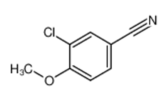 Picture of 3-Chloro-4-methoxybenzonitrile