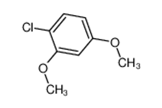 Picture of 1-Chloro-2,4-dimethoxybenzene