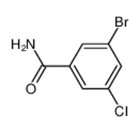 Picture of 3-BROMO-5-CHLOROBENZAMIDE