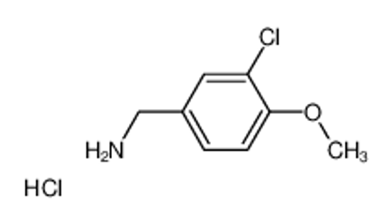 Picture of 3-Chloro-4-Methoxybenzylamine Hydrochloride