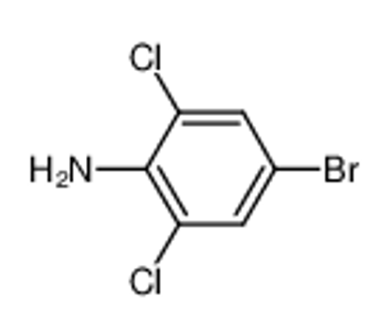Picture of 4-Bromo-2,6-Dichloroaniline
