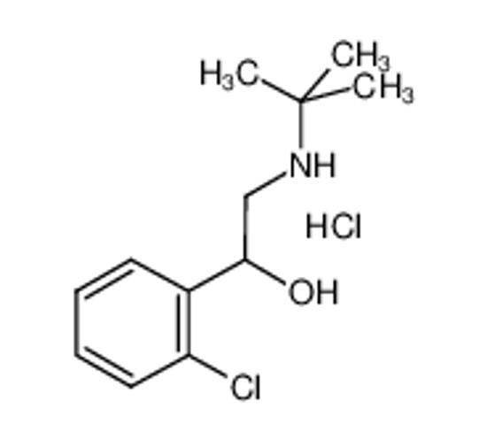 Picture of 2-(tert-Butylamino)-1-(2-chlorophenyl)ethanol hydrochloride