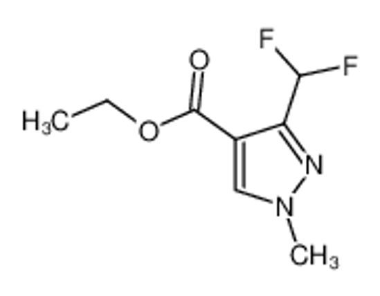 Picture of ethyl 3-(difluoromethyl)-1-methylpyrazole-4-carboxylate